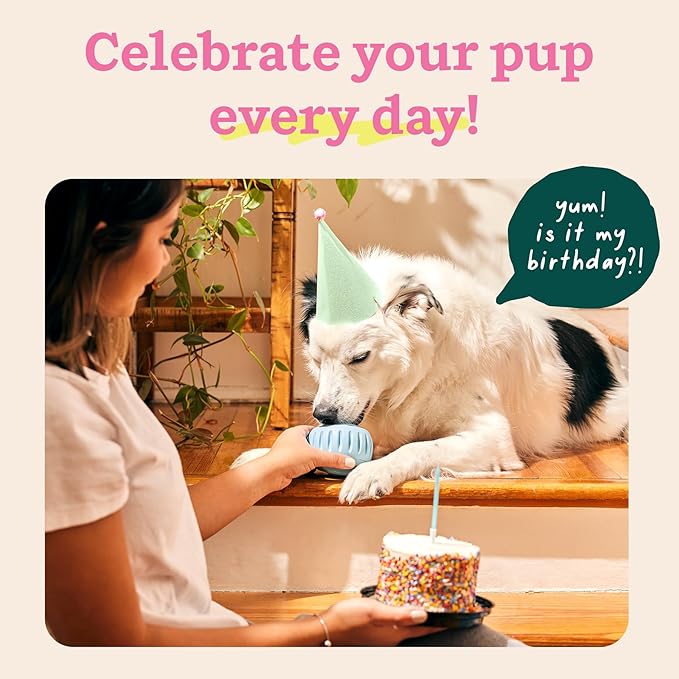 WOOF Party Pupsicle - Long-Lasting Interactive Dog Toys for Boredom - Low-Mess Design - Birthday Gifts for Dogs - Small Dog Toys - Buddy Blue