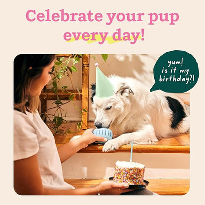 WOOF Party Pupsicle - Long-Lasting Interactive Dog Toys for Boredom - Low-Mess Design - Birthday Gifts for Dogs - Small Dog Toys - Buddy Blue