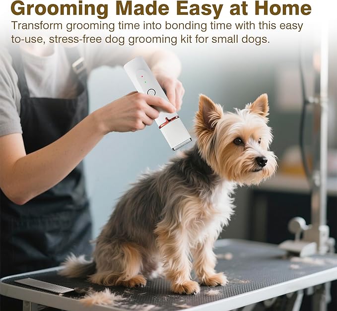 2025 New Petium 4-in-1 Dog Grooming Clippers Kit-Quiet Dog Nail Grinder &amp; Paw Trimmer,Low Noise Cordless Pet Shaver for Small Dogs &amp; Cats,USB-Rechargeable, 6 Guide Combs