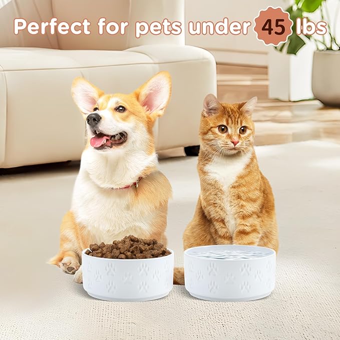 SPUNKYJUNKY Ceramic Dog and Cat Bowls 2 Pack, 6.1&