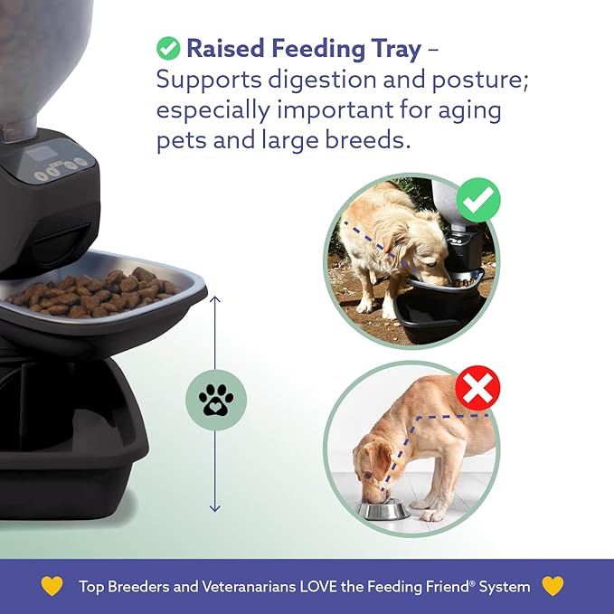 Automatic Dog &amp; Cat Food Feeder with Water Dispenser – Smart Pet Feeder with Portion Control, OLED Display, Anti Jam Design, Battery Operated Dispenser for Small Pets - Black