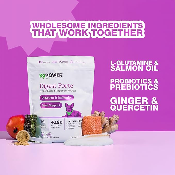 K9 Power Digest Forte for Dogs 1lb – Digestive, Immunity &amp; Calming Support - Enhances Nutrient Absorption - Balances Gut Flora - Eases Discomfort &amp; Boost Mood - Pack of 2
