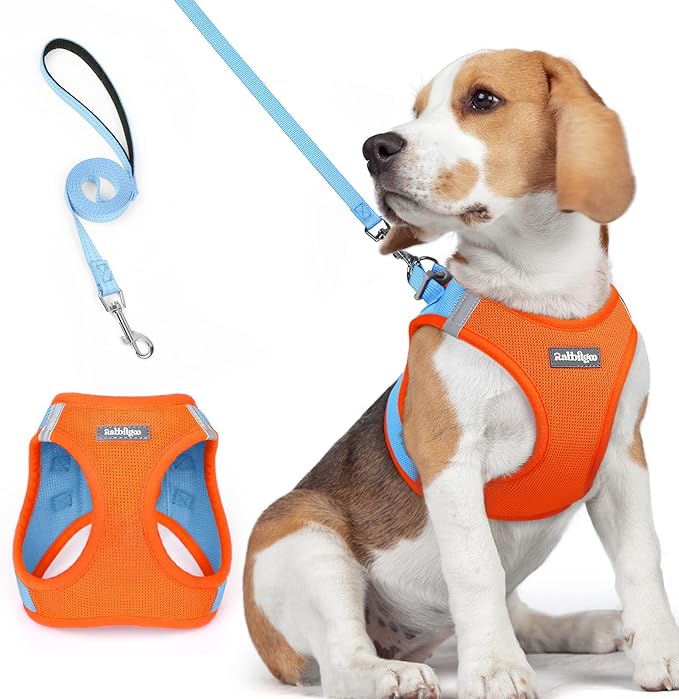 rabbitgoo Dog Harness Small Medium Sized and Leash Set, Step in Soft Light Puppy Vest, Breathable Mesh Pet Harness, Reflective for Safe Easy Walking, Blue &amp; Orange L