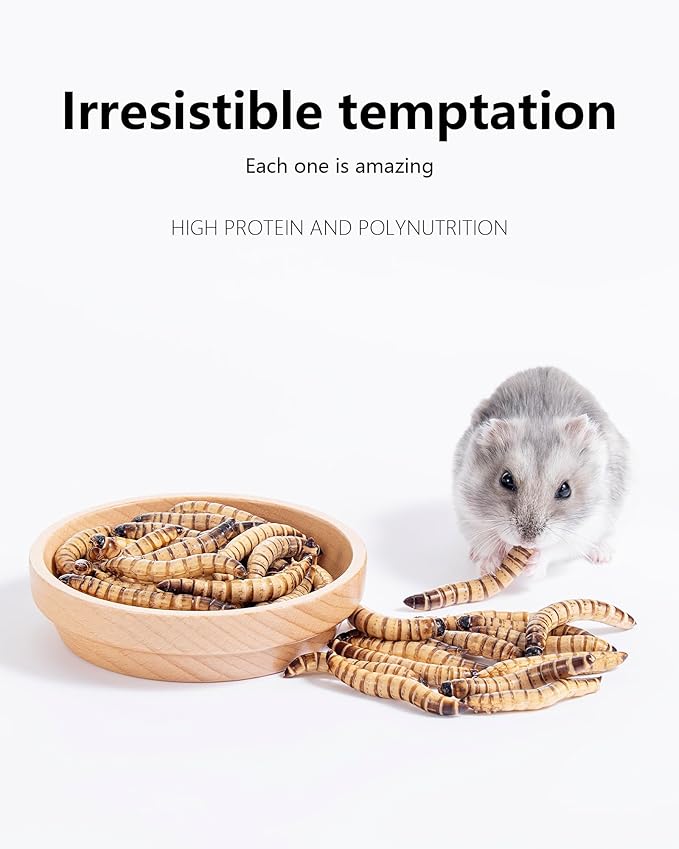 Niteangel Small Animal Snack &amp; Treats - Small Critter Natural Treat for Dwarf Syrian Hamsters Gerbils Mice Sugar Glider Hedgehogs Chickens Birds (Freeze-Dried Worms- 1.4oz (40g))