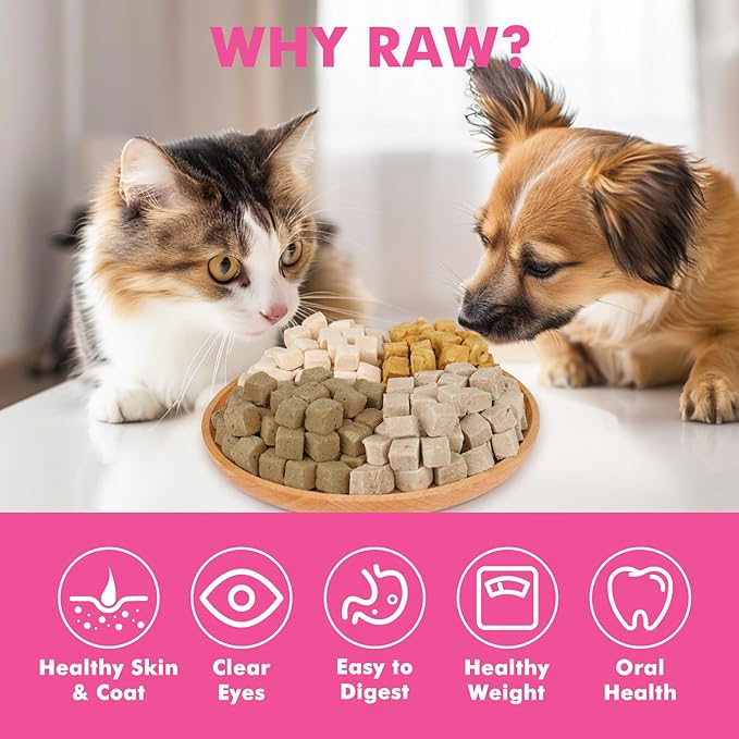 Freeze Dried Cats &amp; Dogs Raw Treats, All Natural Single Ingredient Chicken Liver, High Protein Healthy Pet Training Treats or Food Topper, 10.6 oz