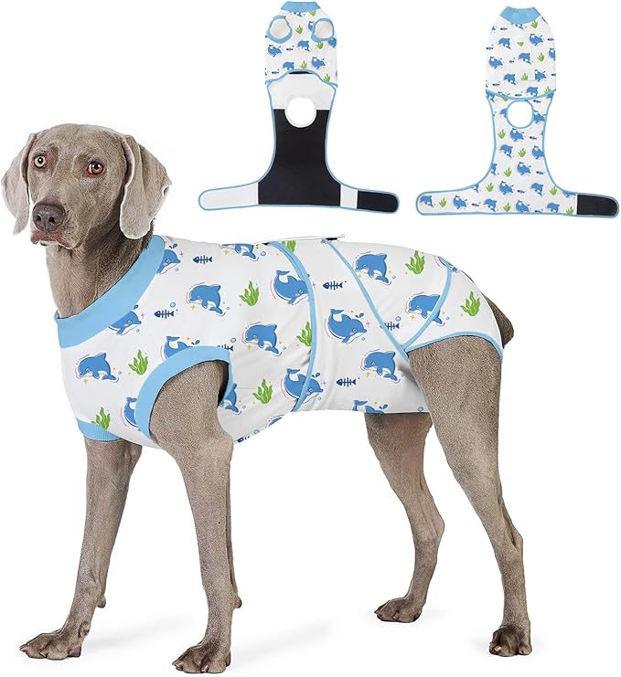 Recovery Suit for Dogs After Surgery, Professional Dog Surgical Suit for Female Spay, Male Neuter, E-Collar &amp; Cone Alternative Dog Onesie for Abdominal Wounds Skin Disease, Blue, M