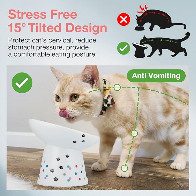 Necoichi Extra Wide Raised Cat Food Bowl, Elevated, Prevent Neck &amp; Whisker Fatigue, Dishwasher and Microwave Safe, No.1 Seller in Japan! (Colorful Dots Limited Edition, Extra Wide Tilted)