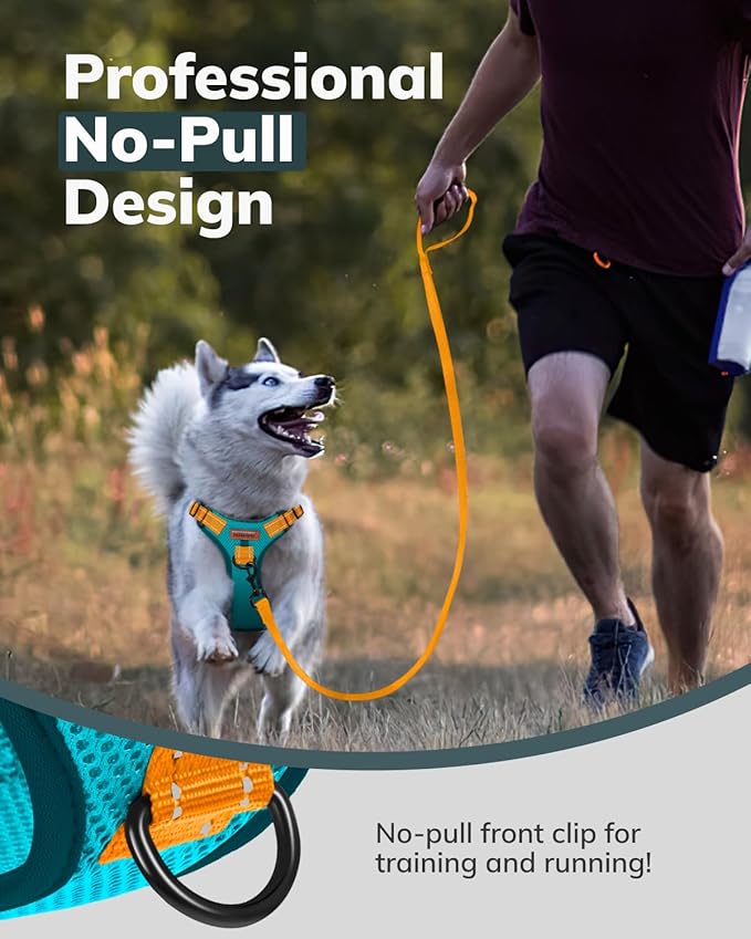 MIDOG No-Pull Dog Harness | Adjustable &amp; Reflective Pet Harness Leash Set for Small Medium Large Dogs Walking, Training| No Choke, Front Clip, Soft Padded Vest with Easy Control Handle - Blue, XL