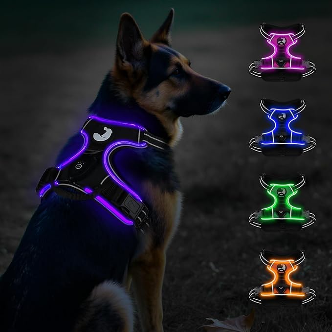 Taglory Light Up Dog Harness, Rechargeable No Pull Dog Vest with 3 Lightning Modes, Reflective Dog Harness with 2 Leash Clips &amp; 4 Adjustable Slide Strips for Large Dogs, Black-Purple, XL