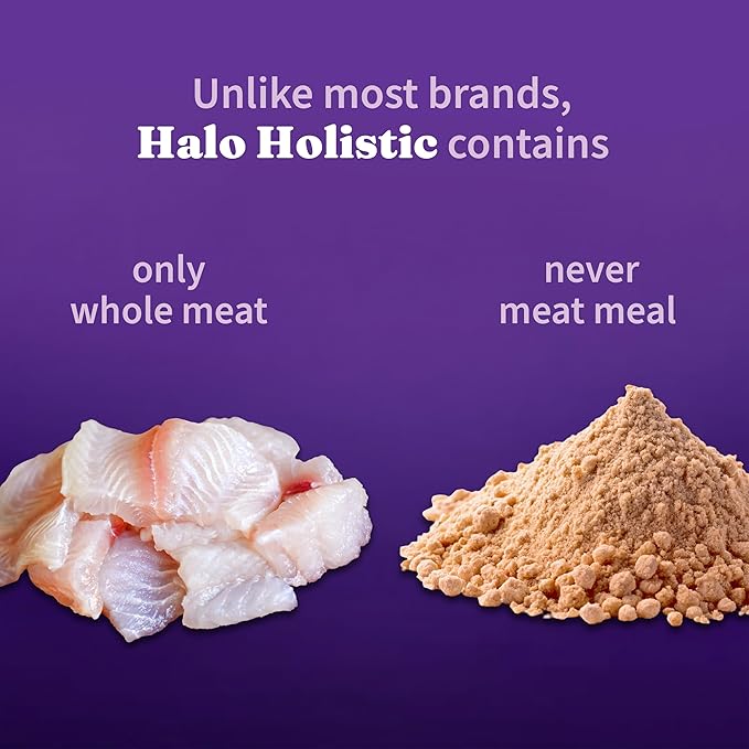 Halo Holistic Cat Food Wild Caught Salmon &amp; Whitefish Formula, Healthy Grains Dry Cat Food, For Sensitive Stomach Support, Kibble for Adult Cats, 6 lb Bag
