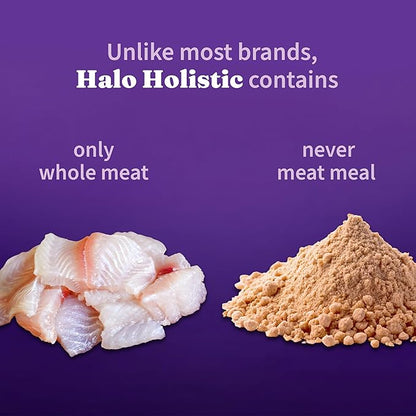 Halo Holistic Cat Food Wild Caught Salmon &amp; Whitefish Formula, Healthy Grains Dry Cat Food, For Sensitive Stomach Support, Kibble for Adult Cats, 10 lb Bag