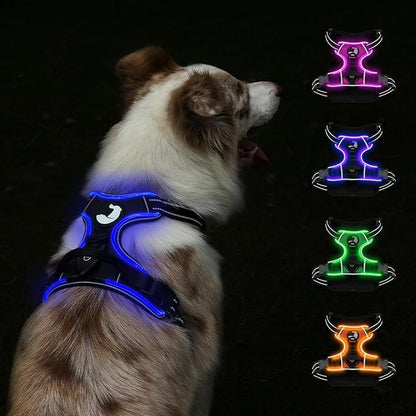 Taglory Light Up Dog Harness, Rechargeable No Pull Dog Vest with 3 Lightning Modes, Reflective Dog Harness with 2 Leash Clips &amp; 4 Adjustable Slide Strips for Large Dogs, Black-Blue, L