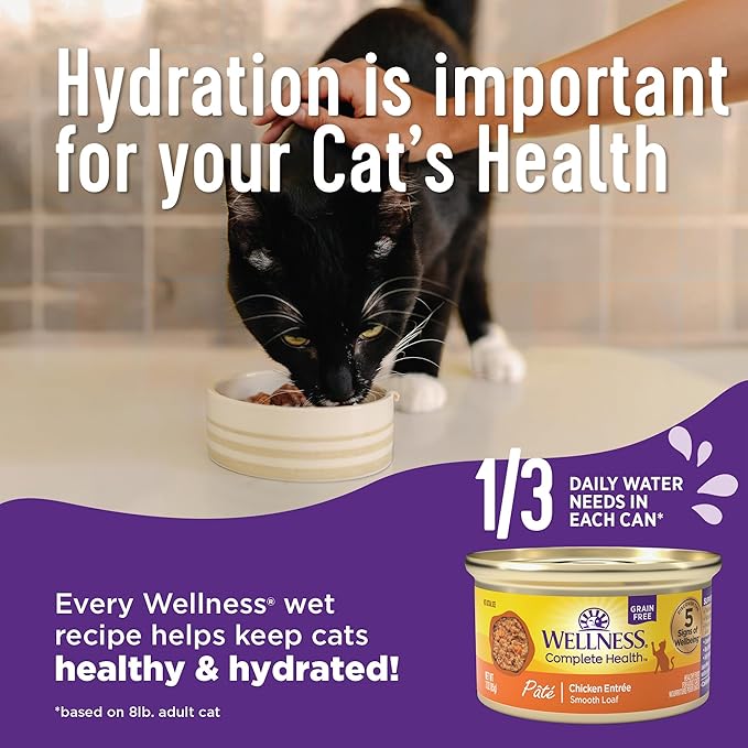 Wellness Complete Health Gravy &amp; Minced Adult Wet Cat Food, Natural, Protein-Rich, Grain Free, 3 Ounce, 12 Pack, (Salmon, Tuna, and Chicken Variety Pack)