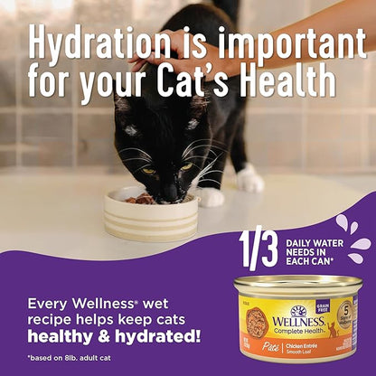 Wellness Complete Health Gravy &amp; Minced Adult Wet Cat Food, Natural, Protein-Rich, Grain Free, 3 Ounce, 12 Pack, (Salmon, Tuna, and Chicken Variety Pack)