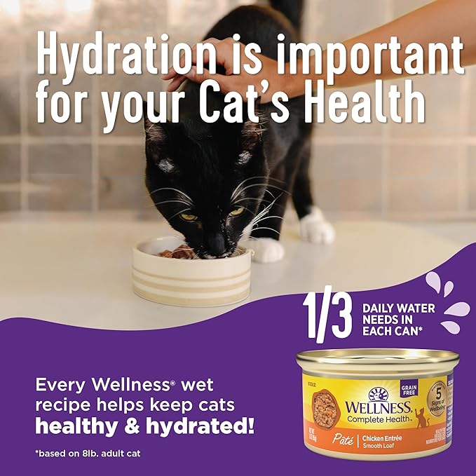 Wellness Complete Health Gravy &amp; Minced Adult Wet Cat Food, Natural, Protein-Rich, Grain-Free, 3 Ounce, 24 Pack, (Chicken &amp; Turkey Lovers Variety Pack)
