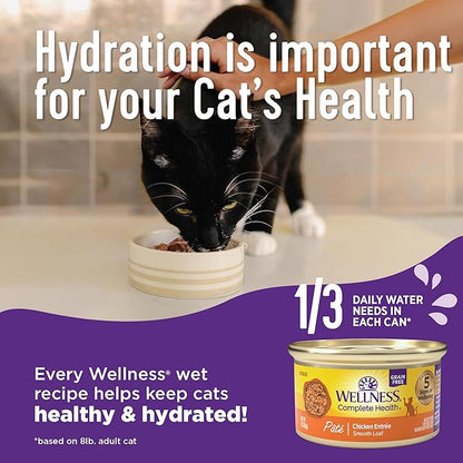 Wellness Complete Health Pate Adult Wet Cat Food, Natural, Protein-Rich, Grain-Free, 3 Ounce, 12 Pack, (Seafood Variety Pack)