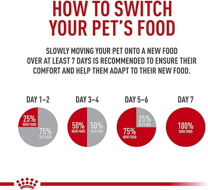 Royal Canin Hair &amp; Skin Care Chunks in Gravy Wet Cat Food Pouch, 3 oz pouch (12-count)