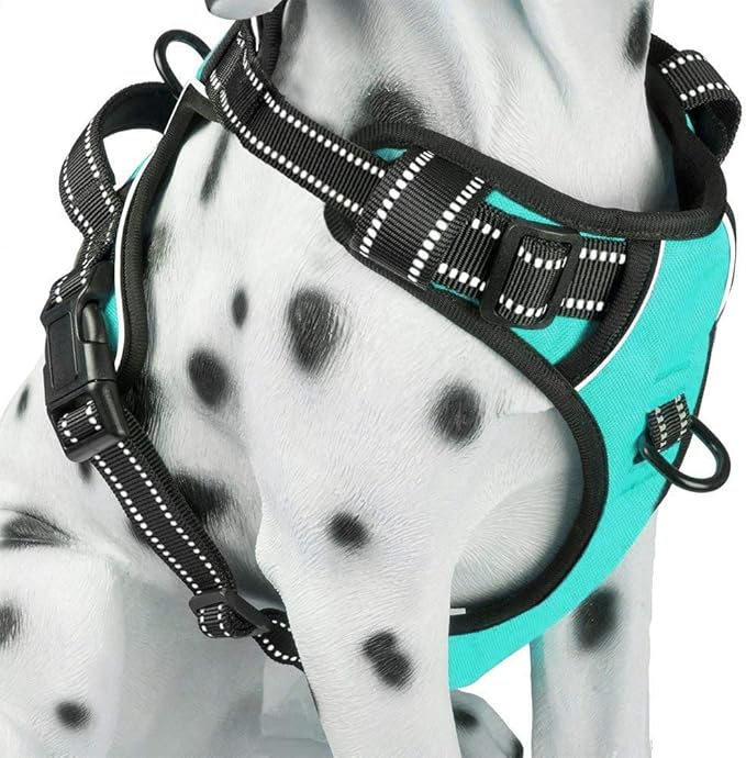 PoyPet No Pull Dog Harness, Reflective Comfortable Vest Harness with Front &amp; Back 2 Leash Attachments and Easy Control Handle Adjustable Soft Padded Pet Vest for Small Medium Large Dogs (Mint Blue,M)