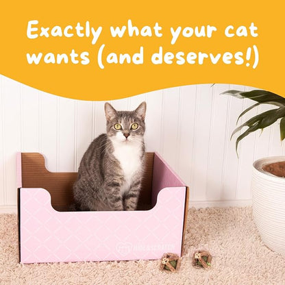 HIDE &amp; SCRATCH Cat Scratcher Box and Cat Bed with Refillable Double-Sided Cardboard Scratch Pad for Indoor Cats