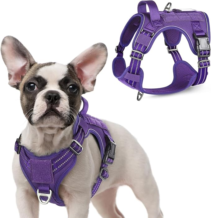 rabbitgoo Tactical Dog Harness for Small Dogs, No Pull Military Service Vest with Handle &amp; Molle, Easy Control for Training Walking, Adjustable Reflective Straps, Purple, S