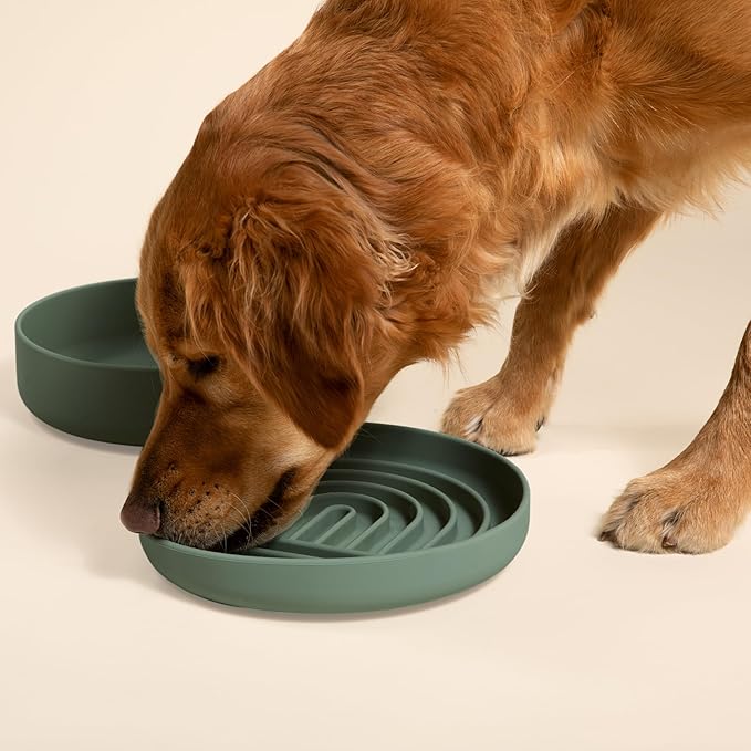 The Slowdown Bowl Silicone Slow Feeder for Dogs &amp; Puppies, Slow Eating, Modern Lick Mat Design, Reduces Gulping, Fits 2.5 Cups 9.5” Across x 1.5” Tall, Mealtime Challenge, Large-Spruce