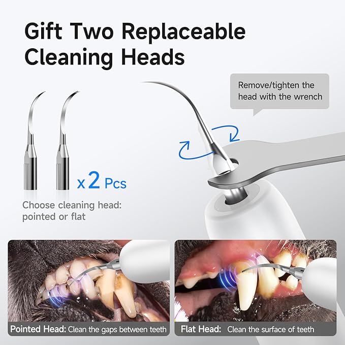 Electric Dog Plaque &amp; Tartar Remover - Pet Teeth Cleaning Kit with LED Light, 5 Adjustable Modes, Safe and Low Noise – Easy Home Dental Care for Dogs and Cats