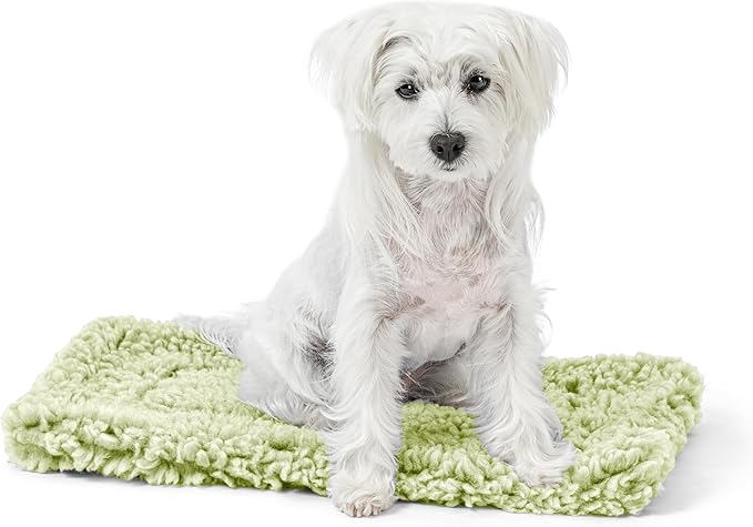 Stoutwool Indestructible Dog Bed - Fluffy Chew Proof Dog Crate Pad - Tough Kennel Pad for Aggressive Chewers - Ideal for Extra Small Breeds &amp; Fits 22-Inch Crate - 21"x12", Gleam