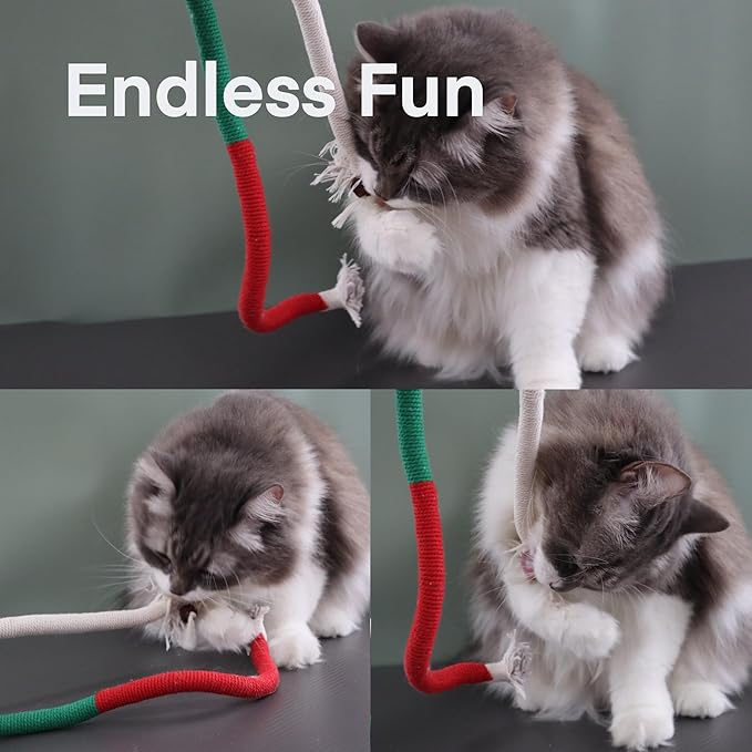 Kittens Toys，Cat Chew Toys for Indoor Cats, Catnip Toy for Teeth Cleaning, Interactive Cat Nip Teething Rope Toys for Cats Kitty, 2 Pack (27.56&amp;7.87 inches，Plus 2 Packs of Catnip)