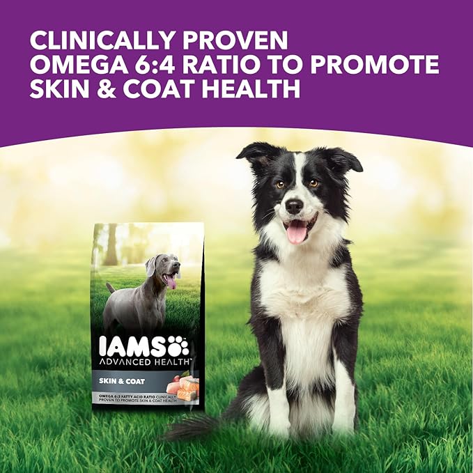 IAMS Advanced Health Skin &amp; Coat Adult Dry Dog Food Chicken and Salmon Recipe, 6 lb. Bag