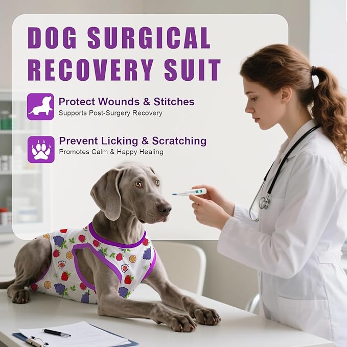 Recovery Suit for Dogs After Surgery, Professional Dog Surgical Suit for Female Spay, Male Neuter, E-Collar &amp; Cone Alternative Dog Onesie for Abdominal Wounds Skin Disease, Purple, XS