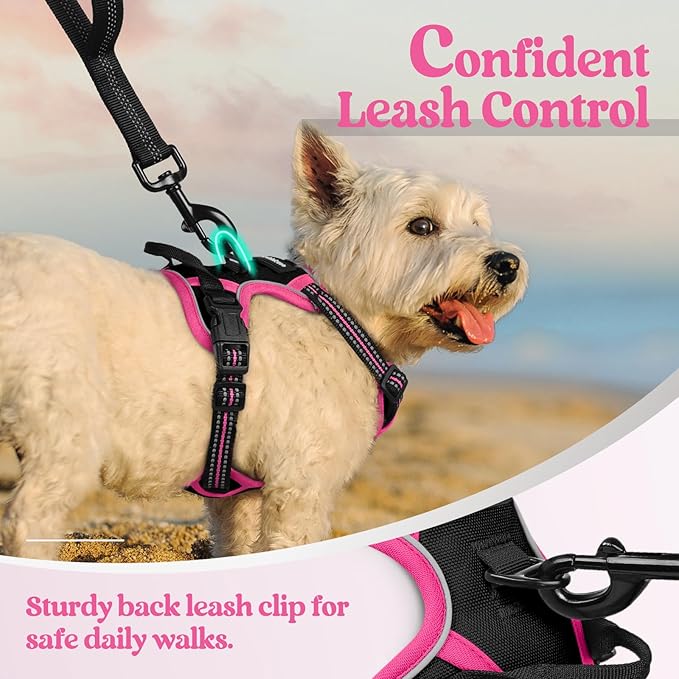 rabbitgoo Dog Harness No Pull with 2 Leash Clips, Adjustable Soft Padded, Reflective Oxford No Choke Pet Vest with Easy Control Handle for Large Dogs, Black &amp; Hot Pink, XS