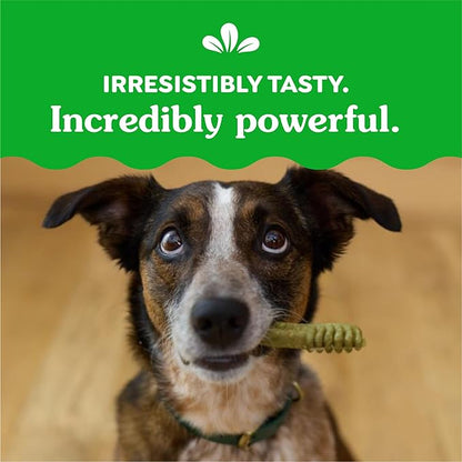 Greenies Regular Dental Dog Treats, Blueberry Flavor, 12 oz. Pack (12 Treats)
