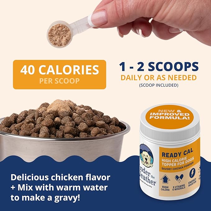 Under the Weather Ready Cal Powder for Dogs, High-Calorie Weight Gainer &amp; Appetite Stimulant, Dog Energy Booster Veterinarian-Approved Pet Supplement with Vitamins &amp; Minerals, Chicken Flavor |10.58 oz