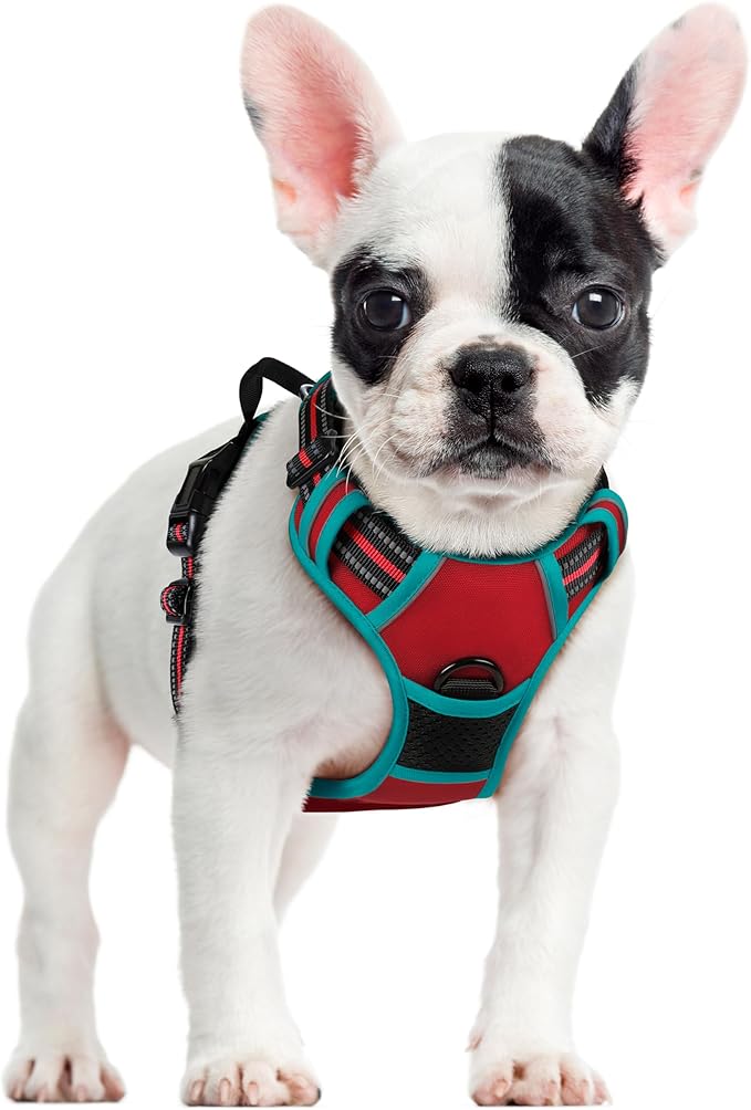 rabbitgoo Dog Harness No Pull with 2 Leash Clips, Adjustable Soft Padded, Reflective Oxford No Choke Pet Vest with Easy Control Handle for Small Dogs, Red &amp; Teal, S