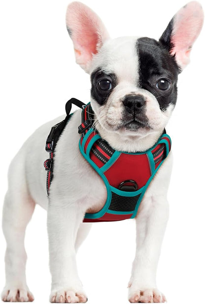 rabbitgoo Dog Harness No Pull with 2 Leash Clips, Adjustable Soft Padded, Reflective Oxford No Choke Pet Vest with Easy Control Handle for Small Dogs, Red &amp; Teal, S