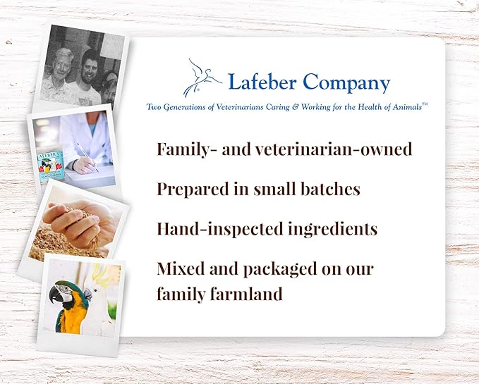 LAFEBER&