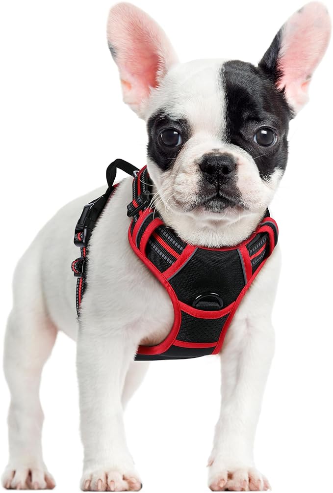 rabbitgoo Dog Harness No Pull with 2 Leash Clips, Adjustable Soft Padded, Reflective Oxford No Choke Pet Vest with Easy Control Handle for Small Dogs, Black &amp; Red, S