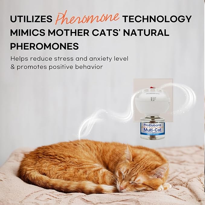 Cat Calming Pheromone Diffuser: Cat Calming Pheromones Diffusers - Reduces Stress &amp; Anxiety with Calming Pheromones