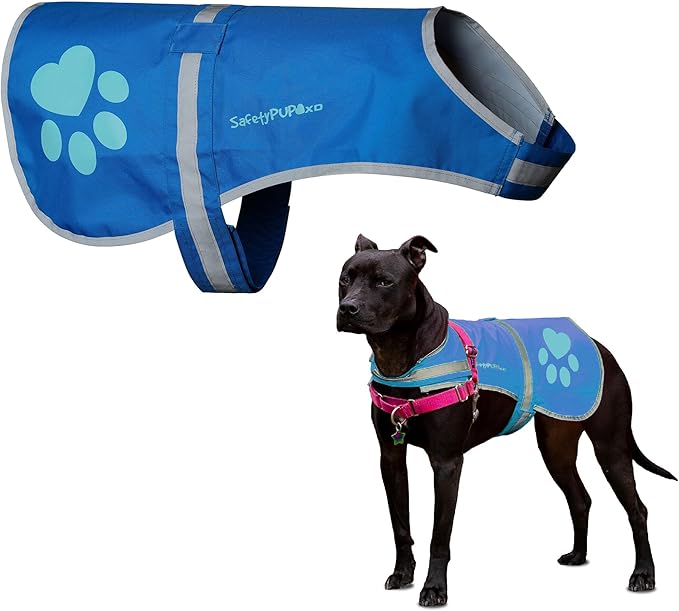 Dog Reflective Vest – Hi-Vis Fluorescent Visibility That Helps to Safeguard Your Pet On/Off Leash in Urban &amp; Rural Areas (Blue, X-Large)