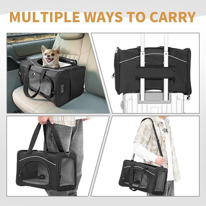 ‌Petsfit Airline Approved Pet Carrier for Small Dogs &amp; Cats, 19x9x12 TSA Approved Carrier, with Removable Dual-Sided Padding (2-Way Placement) - Fits Under Most Airplane Seats, Escape Proof (Black)
