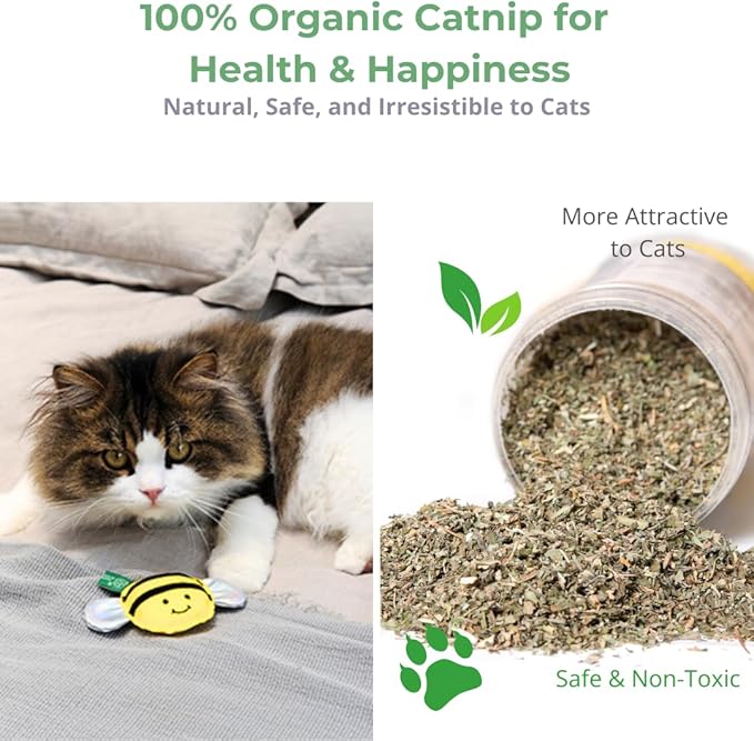 Eco-Friendly Cat Gift Box – 7-Piece Set with Organic Catnip Toys, Feather Wand, Blanket &amp; Pop-Up Cat Cave for Indoor Cats and Kittens