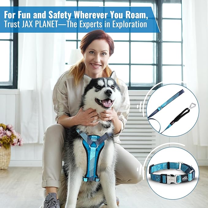 No-Pull Dog Harness with Handle - Escape Proof, Anti-Pulling, Grip Control, Multi-Angle Reflective for Safe Walks &amp; Training, Easy On &amp; Off, Metal Buckle–Pet Harness, Medium/Large Dogs- H3- Black
