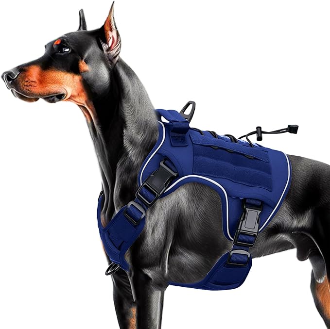 Heavy-Duty Tactical Dog Harness for Large Dogs, No Pull Adjustable Reflective Pet Vest with Molle System, K9 Military-Grade Control for Service Training, Outdoor &amp; 10+ Breeds, Dazzling Blue, Large