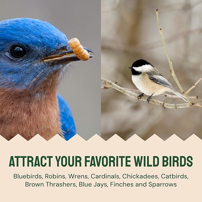 Dried Mealworms - 2 Lb Bag - High Protein Chicken Feed, Mealworms for Birds &amp; Chickens - Meal Worms for Wild Birds &amp; Turtles