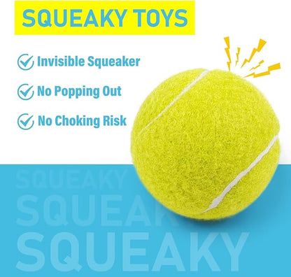 Prime Pets Tennis Balls for Dogs, 2.5 Inch Squeaky Dog Balls for Play &amp; Fetch, Squeaky Tennis Balls for Medium, Large Dogs, Dog Toy Balls