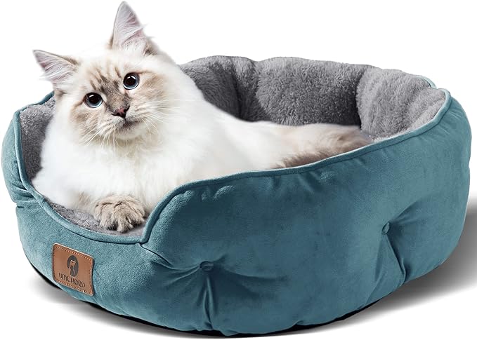 Asvin Medium Dog Bed for Medium Dogs, Cat Beds for Indoor Cats, Pet Bed for Puppy and Kitty, Extra Soft &amp; Machine Washable with Anti-Slip &amp; Water-Resistant Oxford Bottom, Teal, 25 inches