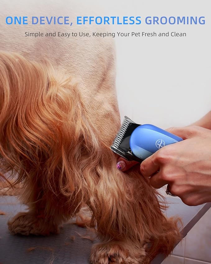 Professional Dog Grooming Clippers Kit, 24V High Power for Thick Coats, Quiet Dog Clippers with 10 Metal Guard Combs &amp; Brush, Ideal Dog Hair Remover for Cats and Pets