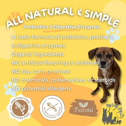 Dog &amp; Cat Probiotics, Prebiotics, &amp; Digestive Enzymes – Flavorless Powder for Gut Health, Allergies, Itchy Skin, Gas &amp; Diarrhea – Organic, Vet-Approved – 65g Bottle (Up to 65 Servings)