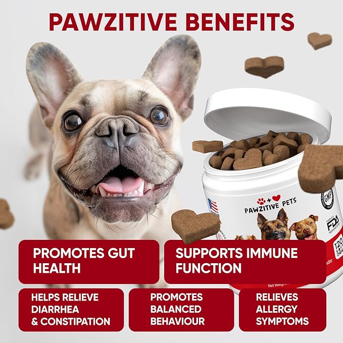 Probiotics for Dogs Digestive Health - Probiotic Chews for Gut Health, Itchy Skin Yeast, Diarrhea - USA Product - Immune Support Supplement - Dog Digestive Support &amp; Allergy Relief Chews with Enzymes