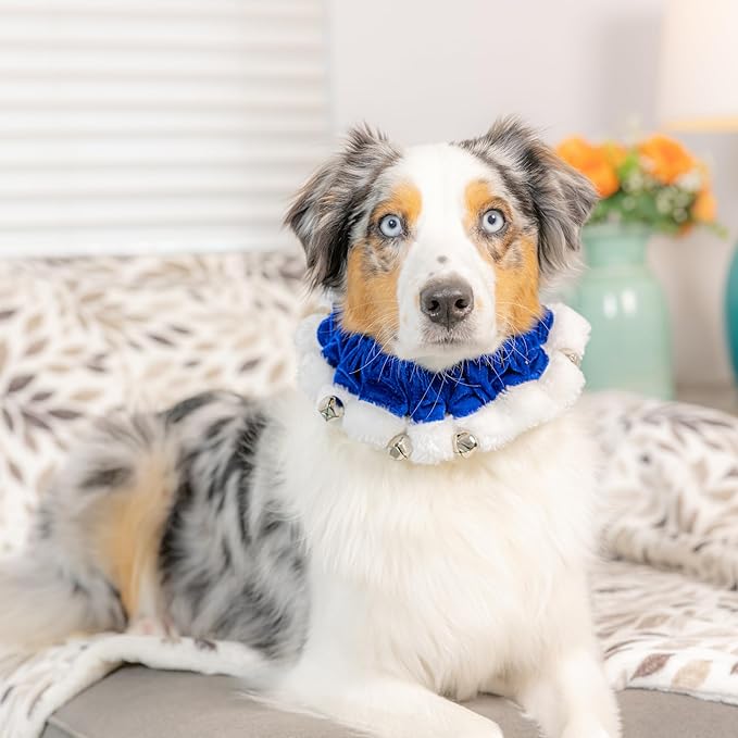 Huxley &amp; Kent Ruff Pet Scrunchy | Hanukkah (Medium) | Festive Christmas/Holiday Neckwear for Dogs/Cats | Fun Stretchable Costume Accessory | Soft Collar with Bells